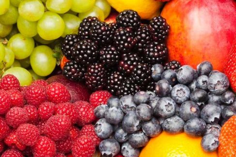 מגשי פירות עם פירות עונה איכותיים
