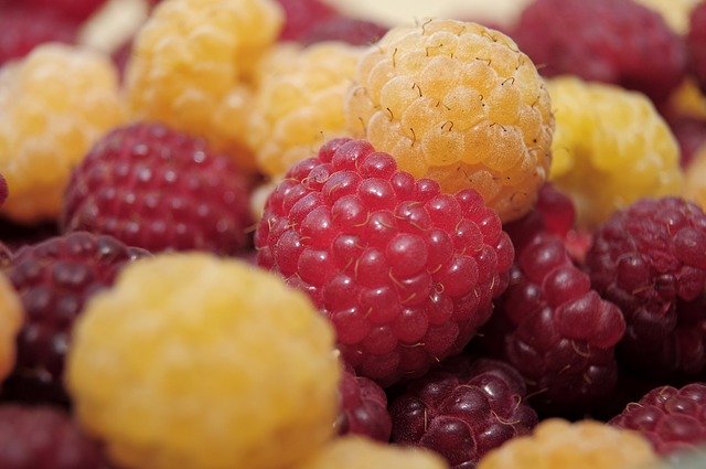 איזה פרי כדאי לאכול בתחילת היום?